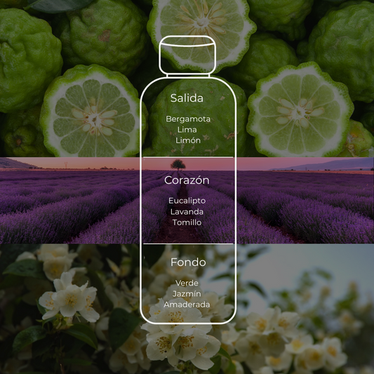 Inspirado en Fernando Llorente