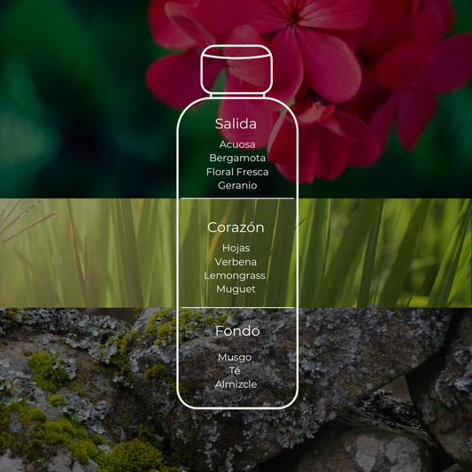 Inspirado en Martha Debayle