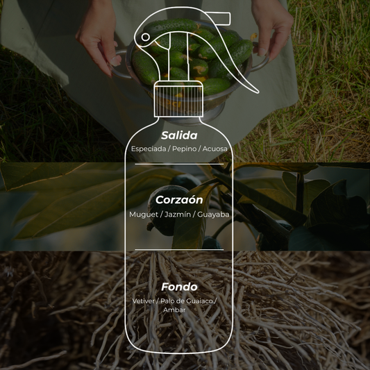 Room Spray 250ml - Shine Free