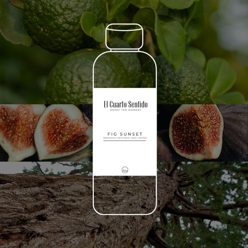 Fig Sunset