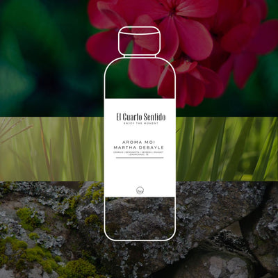 Inspirado en MOI by Martha Debayle