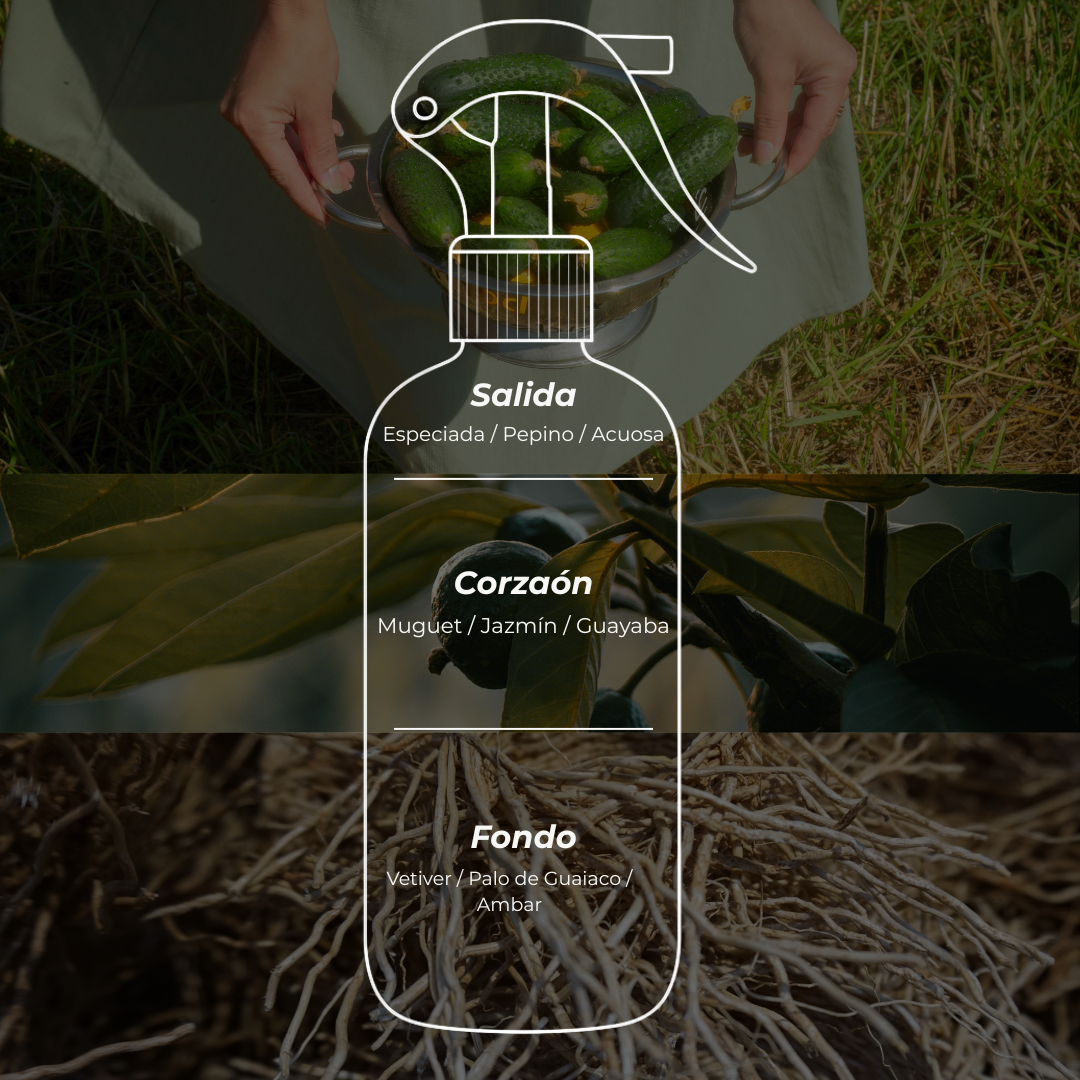 Room Spray 250ml - Shine Free